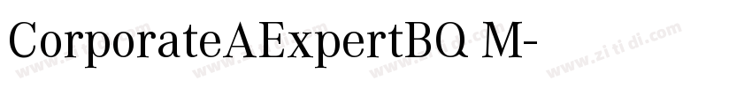 CorporateAExpertBQ M字体转换